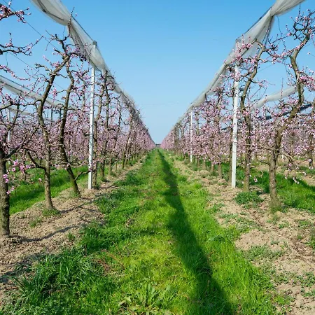 Semesterbostad Da Marita By Interhome